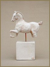 Buchephalus