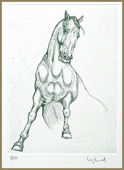 35x50cm