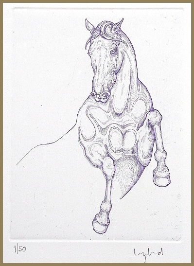 35x50cm